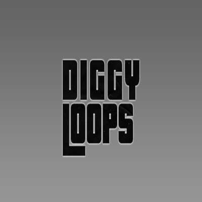 Provider Diggy Loops