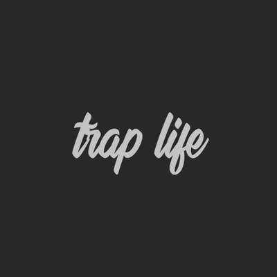 Provider Trap Life