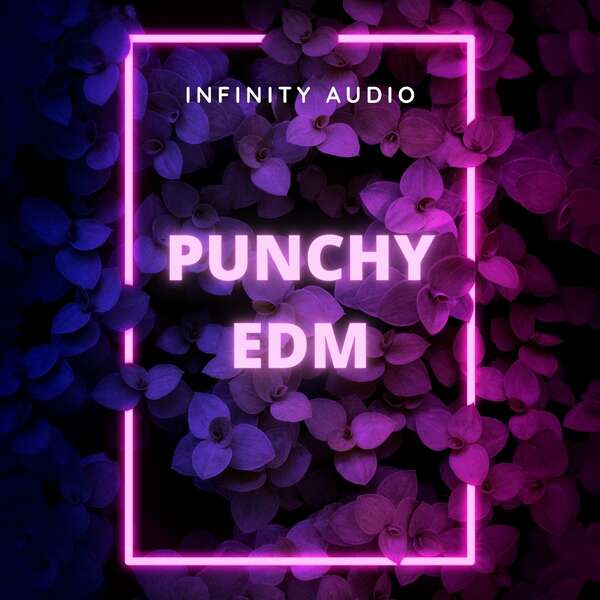 Sounds & Samples from Infinity Audio Punchy EDM