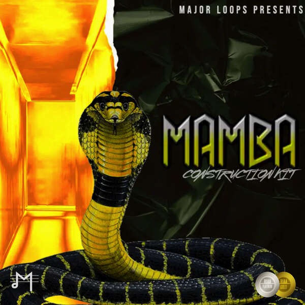 mamba focus big stage